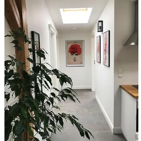 Sopocki Kosciuszki 44 *